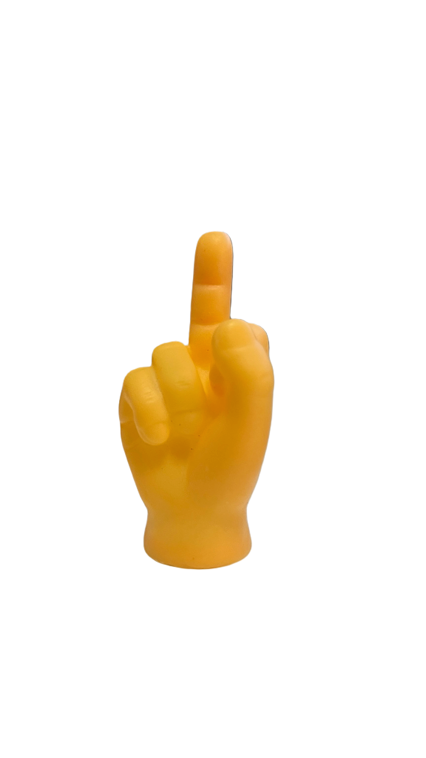 5 x Middle Fingers -  A Message Recieved